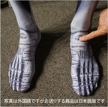 The image gallery viewer to read, Calcetines con huesos del pie impresos (español)